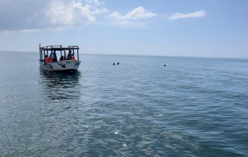 Mida Creek (Safari Blu)